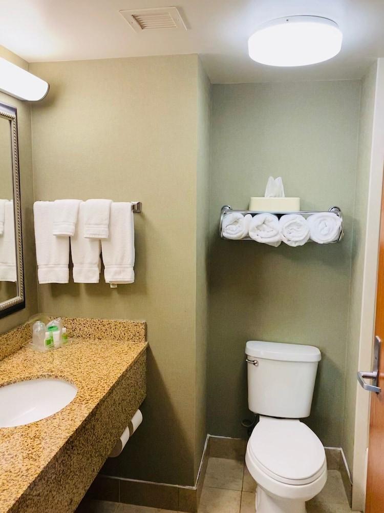 Hotel Memphis-university Of By Ihg 3*